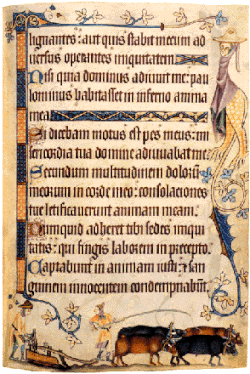 Salterio del siglo XIV con decoraciones marginales