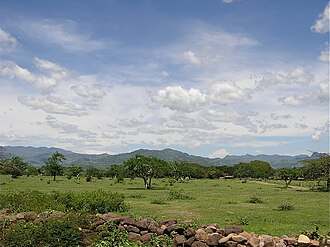 Sabana tropical seca en Choluteca, Honduras