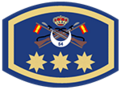 Divisa militar de oficial superior
