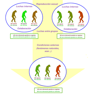 Representación simplificada de la teoría genético-evolutiva