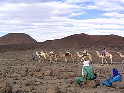 Caravana de camellos en el Sahara central