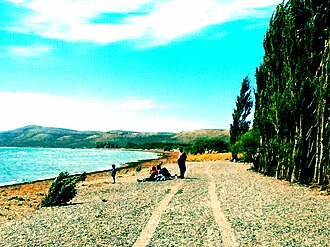 Playa y vegetación arbórea en la costa del Lago Musters.