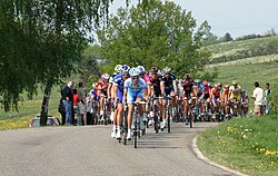 El pelotón de ciclistas transitando por la ruta de la Lieja-Bastoña-Lieja 2007.