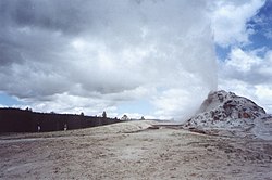 Erupción del géiser White Dome rodeado de formaciones silíceas en Yellowstone.