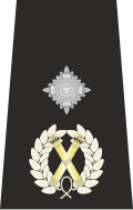 Epaulette de comisionado asistente auxiliar