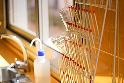 Útiles para prácticas de química en un laboratorio escolar.