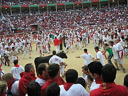 Suelta de vaquillas en la plaza