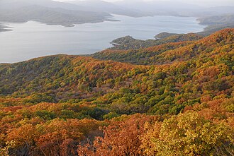 Bosque caducifolio en la región del lago Songhua