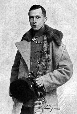 Retrato de Ernst Jünger