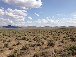 Estepa de artemisa en Nevada