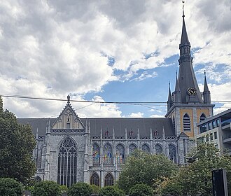 Vista general de la Catedral de San Pablo en Lieja
