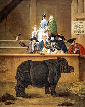 El rinoceronte, h. 1751, óleo sobre lienzo, Ca' Rezzonico, Venecia