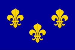 Representación de flores de lis, símbolo tradicional de la monarquía francesa
