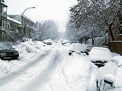 Nevada invernal en la ciudad de Montreal, Canadá