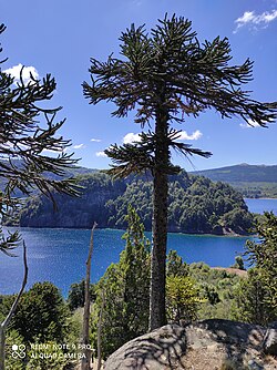 Vista sobre la parte oriental del Lago Moquehue