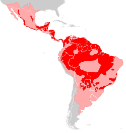 Mapa de distribución del jaguar