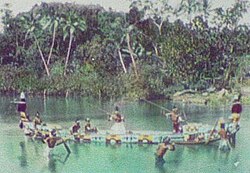 Guerreros de las Islas Salomón en una fotografía histórica de 1895