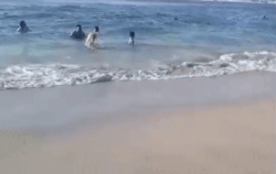 Animación esquemática de una ola de mar en movimiento