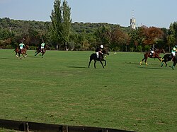 Juego de polo