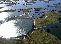 El Pantanal en Brasil