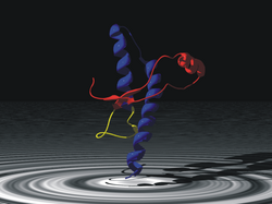 Representación esquemática de la estructura de un prion humano