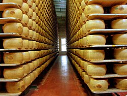 Queso parmesano