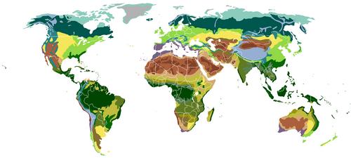 Biomas clasificados según sus tipos de vegetación predominante en la Tierra.