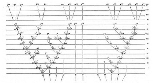 Diagrama de árbol dibujado por Charles Darwin