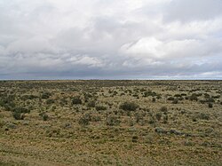 Estepa patagónica cerca de Fitz Roy
