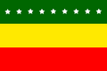 Escudo oficial de Piñas