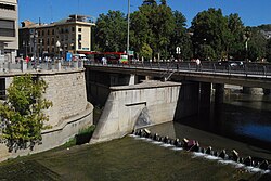 Desembocadura del Darro en el Genil
