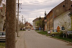 Fotografía panorámica que muestra una calle en la localidad de Bela Crkva