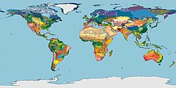 Mapa global de ecorregiones según el WWF