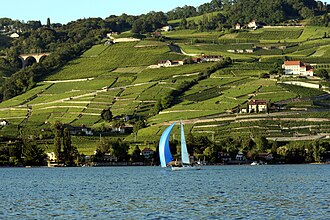 Paisaje de Lavaux