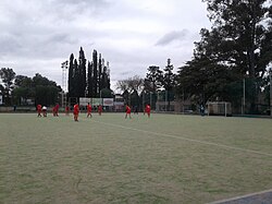 Estudiantes practicando hockey