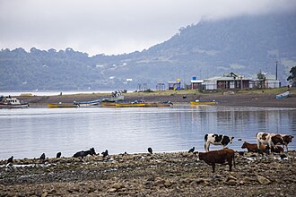 Caleta El Manzano en el territorio comunal.