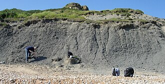 Arcillas del Jurásico en Inglaterra