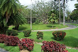 Jardín Botánico en Puerto España, Trinidad y Tobago.