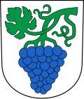 Representación gráfica de la zona geográfica de Altenrhein