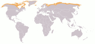 Mapa de localización de la tundra ártica