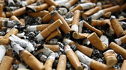 Detalle de colillas de cigarrillo acumuladas