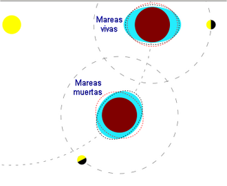 Esquema ilustrativo de la alineación y cuadratura entre el Sol, la Tierra y la Luna.