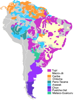 Mapa que ilustra las principales familias lingüísticas presentes en América del Sur.