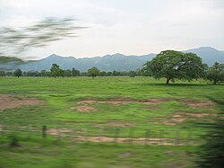 Llanuras del Cesar