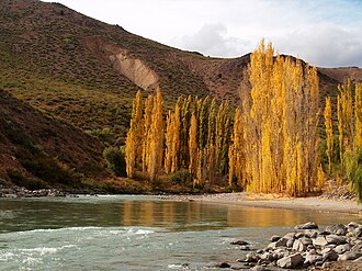 Vista general del Río Neuquén en las cercanías de Huinganco
