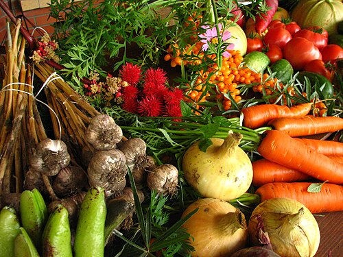 Verduras y plantas ornamentales de agricultura sostenible