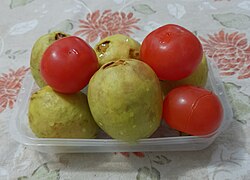 Frutos de guayaba junto a un tomatillo