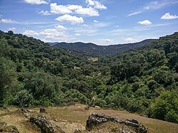 Sierra Norte de Sevilla en Sierra Morena con bosque mediterráneo