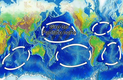 Mapa de la sopa de plástico en el Pacífico
