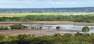 Paisaje de la llanura en la región de la Orinoquía